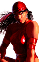 DAREDEVIL #9 ALEX ROSS TIMELESS VIRGIN VARIANT NM ELEKTRA BULLSEYE PUNISHER MUSE0