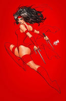 DAREDEVIL #29 DAVID NAKAYAMA EXCLUSIVE 3-BOOK VARIANT SET NM ELEKTRA PUNISHER3