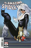 AMAZING SPIDER-MAN #31 GREG LAND VARIANT NM BLACK CAT TOMBSTONE MARVEL COMICS0