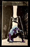 ALL-NEW SPIDER-GWEN THE GHOST-SPIDER #2 NYCC EXCLUSIVE PANEL VIRGIN VARIANT NM0