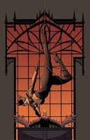 CATWOMAN #83 HOWELL VARIANT NM BATMAN COURT OF OWLS GOTHAM DC COMICS 1/21/20260