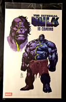 THE INCREDIBLE HULK #29 NYCC EXCLUSIVE PANEL VARIANT NM AVENGERS INFERNAL MARVEL0