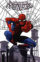 AMAZING SPIDER-MAN #1 CHIARELLO FOIL VARIANT NM BLACK CAT SANDMAN RHINO MARVEL0
