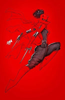 DAREDEVIL #29 DAVID NAKAYAMA EXCLUSIVE 3-BOOK VARIANT SET NM ELEKTRA PUNISHER4
