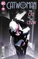 CATWOMAN #42 MAIN COVER A BY JEFF DEKAL NM